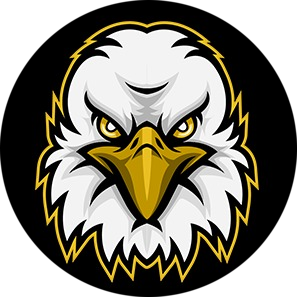 Eagle Vision